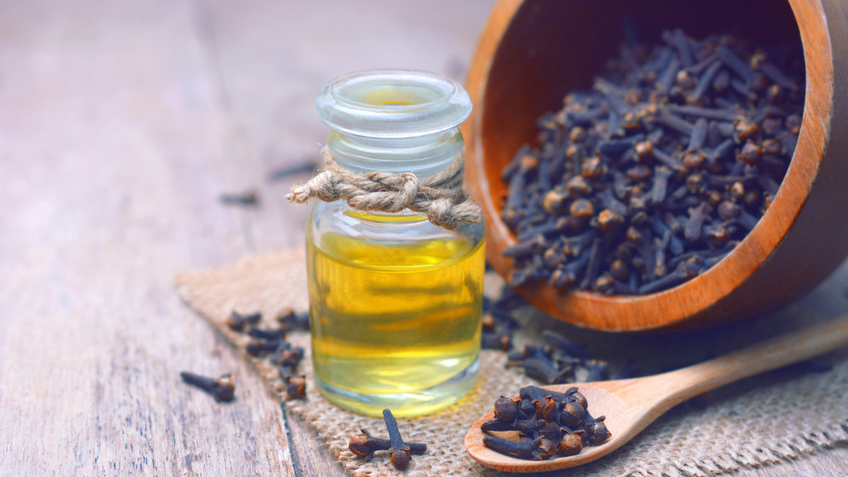 minyak cengkeh