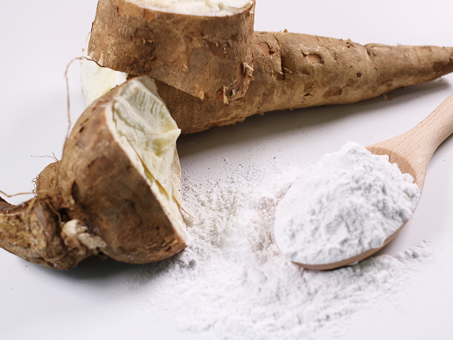 analisis peluang bisnis tepung singkong