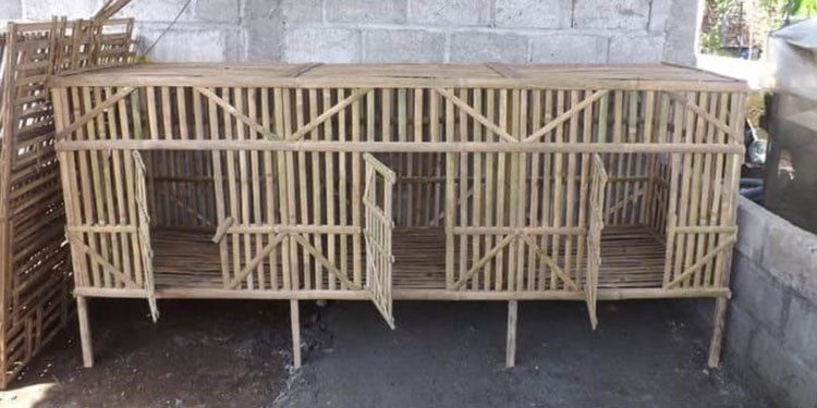 kandang ayam bambu rakitan