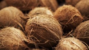 Sabut kelapa bagi tanaman