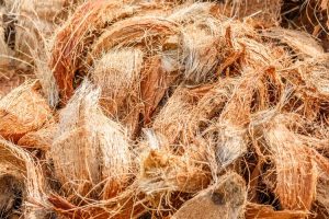 ilustrasi manfaat Sabut Kelapa bagi Tanaman