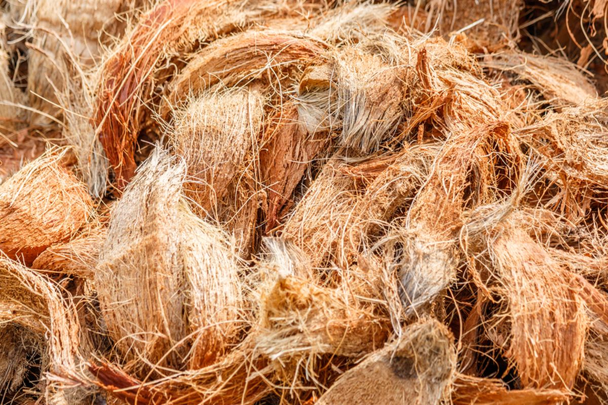 Fungsi Cocomesh Sabut Kelapa