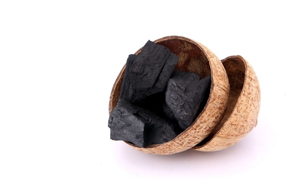 Coconut charcoal industry