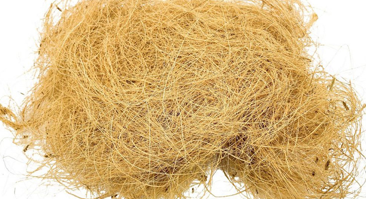 Sabut Kelapa Tekstil