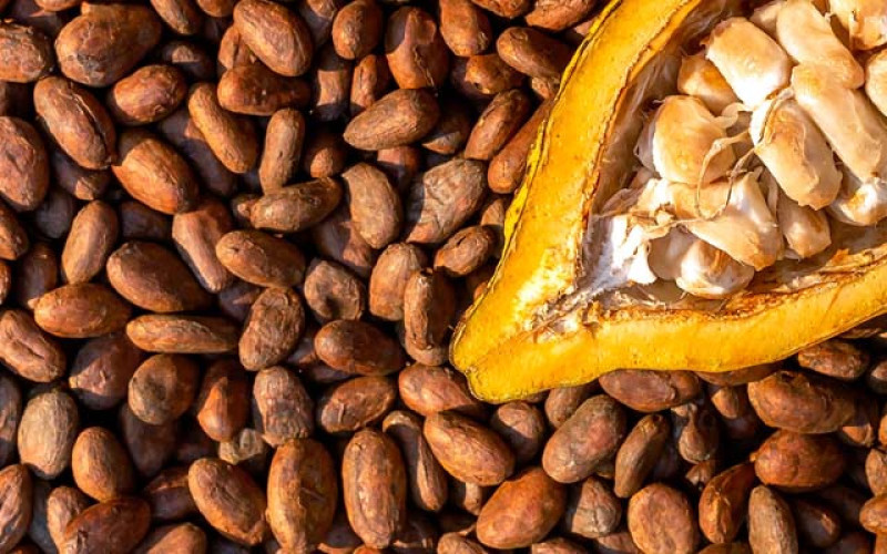 Pembuatan Cokelat Otomatis