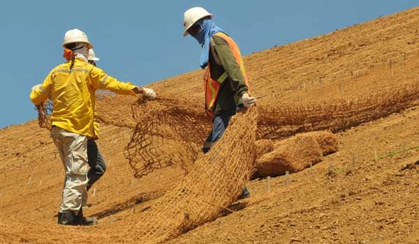 Penerapan cocomesh dalam eksperimen agroforestri