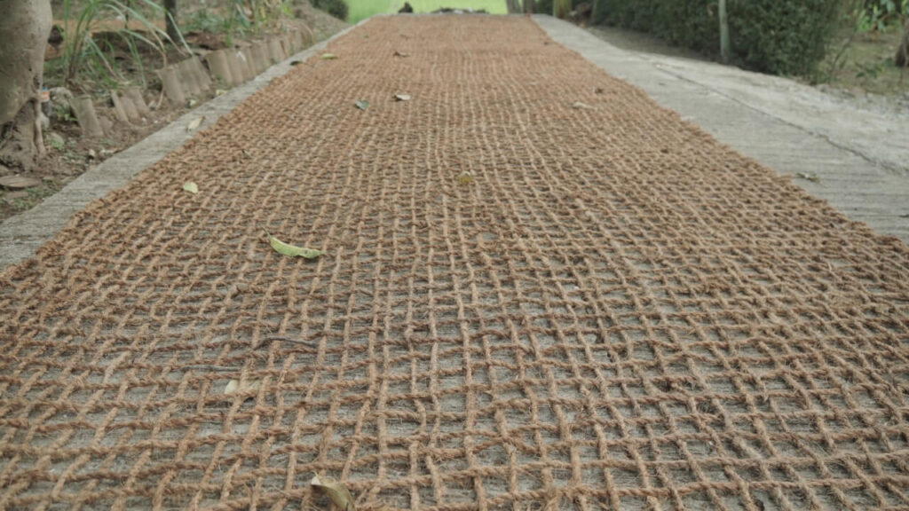 Cocomesh untuk restorasi kebun buah lokal