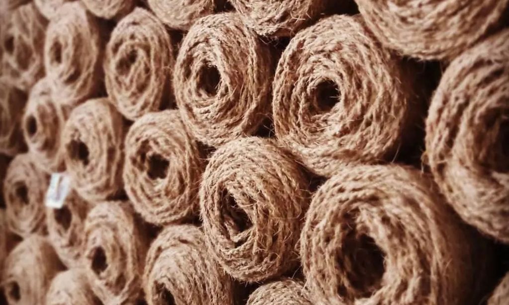 Cocomesh Biodegradable yang Aman bagi Ekosistem