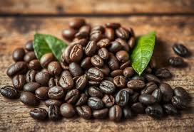 Tingkat Kematangan Sangrai Kopi