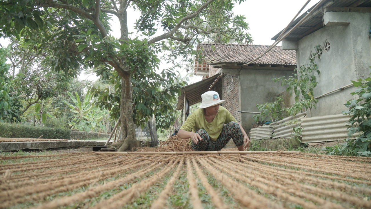 umur pakai cocomesh di lapangan